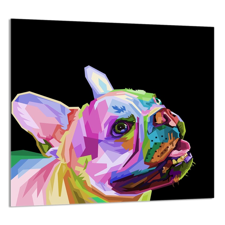 TMK ArtDeko konyhai üvegpanel 65x60cm, védelem, edénytartó, többszínű