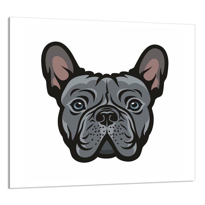 TMK ArtDeko konyhai üvegpanel 65x60cm, védelem, edénytartó, többszínű