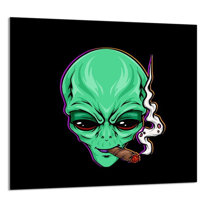 Üvegpanel konyhába TMK ArtDeko 65x60cm, védelem, edénytartó, többszínű