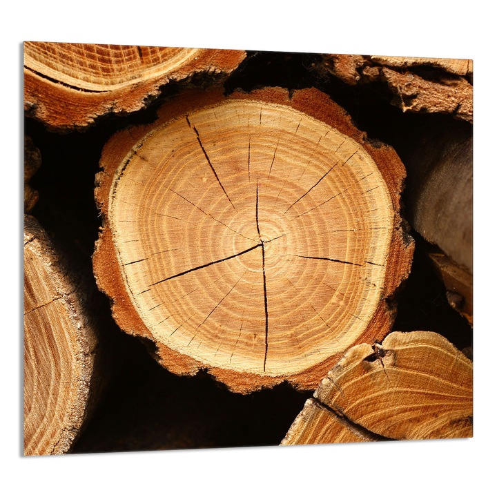 TMK ArtDeko konyhai üvegpanel 65x60cm, védelem, edénytartó, többszínű