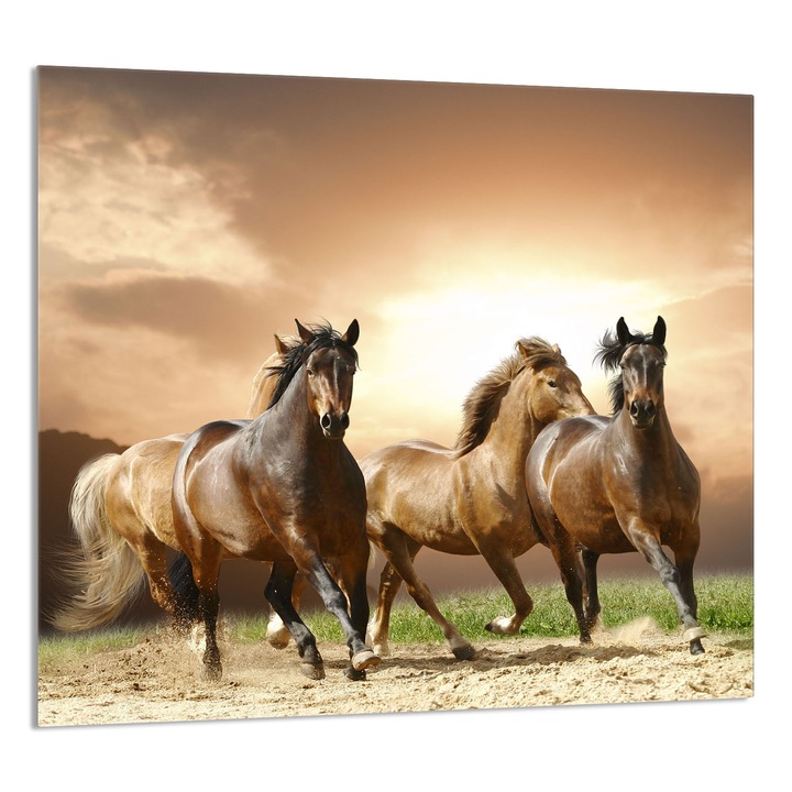 TMK ArtDeko konyhai üvegpanel 65x60cm, védelem, edénytartó, többszínű