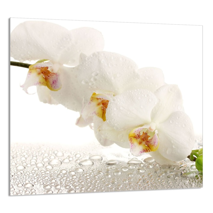 Konyhai üvegpanel 65x60 cm, TMK ArtDeko, modern design, szennyeződés elleni védelem, többszínű