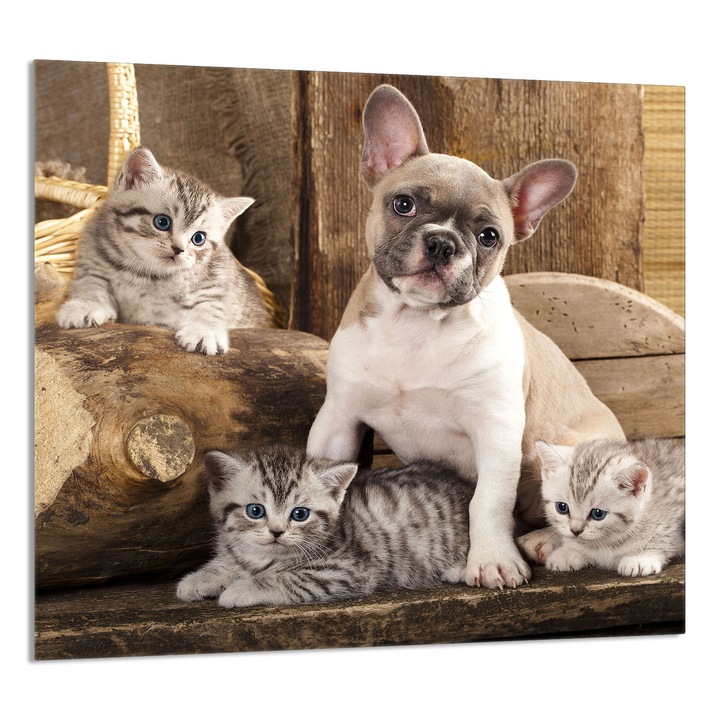 TMK ArtDeko konyhai üvegpanel 65x60cm, védelem, edénytartó, többszínű