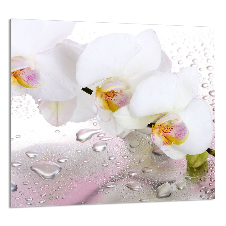 Konyhai üvegpanel 65x60 cm, TMK ArtDeko, modern design, szennyeződés elleni védelem, többszínű