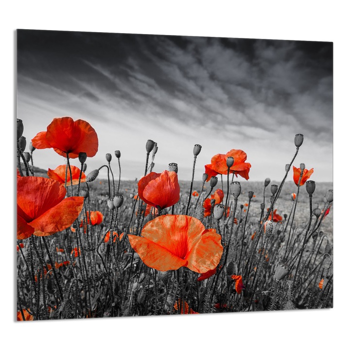 TMK ArtDeko Üveg konyhai hátlap 65x60cm, védelem, modern design