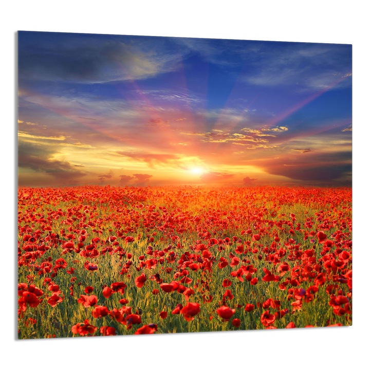 TMK ArtDeko konyhai üvegpanel 65x60cm, védelem, edénytartó, többszínű