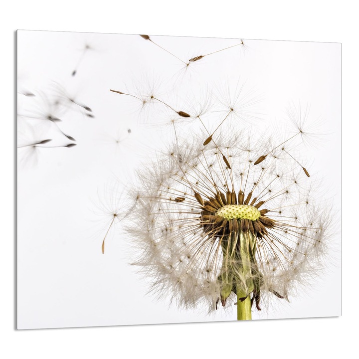 TMK ArtDeko Üveg konyhai hátfal, 65x60 cm, virágmintás, főzőlap védelem, edénytartó