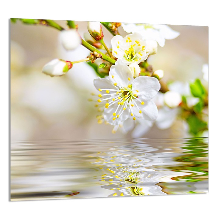 Üvegpanel konyhába TMK ArtDeko 65x60cm, védelem, edénytartó, többszínű