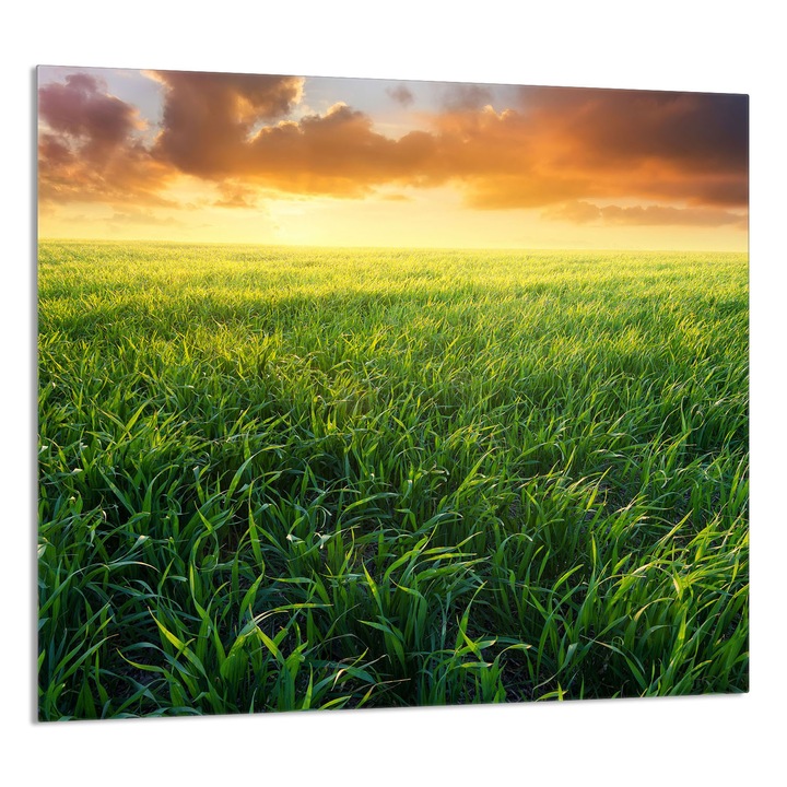 TMK ArtDeko Üveg konyhai hátfal 65x60cm, védelem, edénytartó, modern design