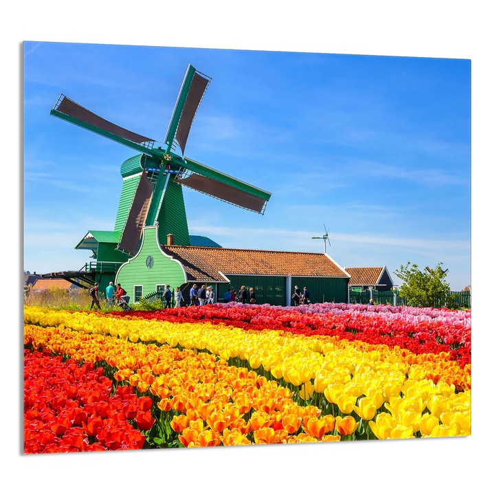 TMK ArtDeko konyhai üvegpanel 65x60cm, védelem, edénytartó, többszínű