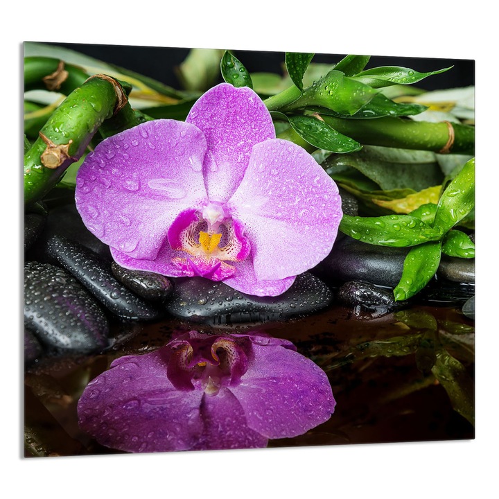 Üveg konyhai hátfal 65x60 cm, TMK ArtDeko, védelem, edénytartó, többszínű