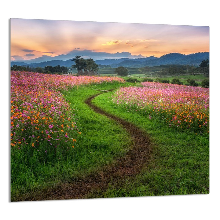 TMK ArtDeko konyhai üvegpanel 65x60cm, védelem, edénytartó, többszínű