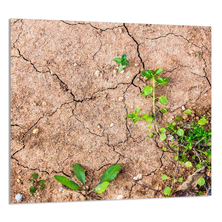 TMK ArtDeko Üveg konyhai hátfal, 65x60 cm, növényi mintás, többfunkciós