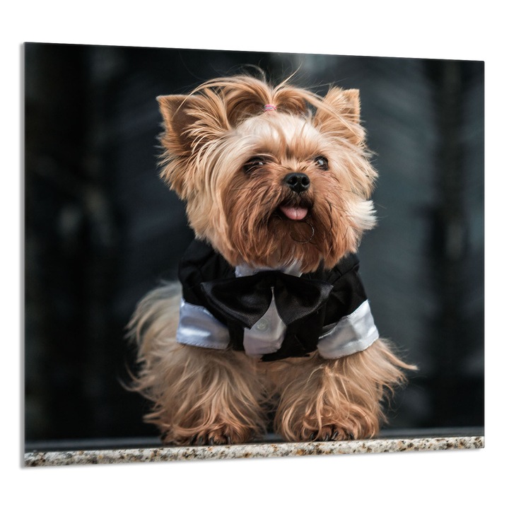 TMK ArtDeko konyhai üvegpanel 65x60cm, védelem, edénytartó, többszínű