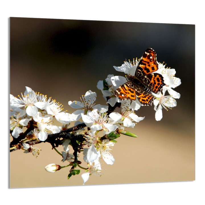 Üvegpanel konyhába TMK ArtDeko 65x60cm, védelem, edénytartó, többszínű