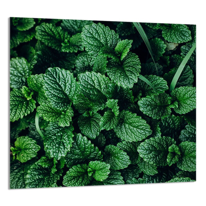 TMK ArtDeko konyhai üvegpanel 65x60cm, védelem, edénytartó, többszínű