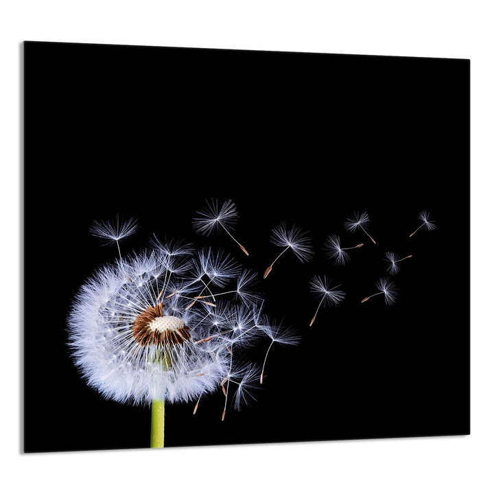 TMK ArtDeko Üveg konyhai hátlap 65x60 cm, virágmintás, multifunkcionális