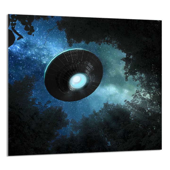 TMK ArtDeko konyhai üvegpanel 65x60cm, védelem, edénytartó, többszínű