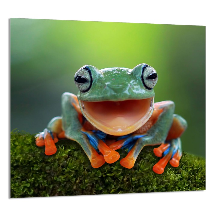 Panou de sticla pentru bucatarie TMK ArtDeko 65x60cm, protectie, multicolor