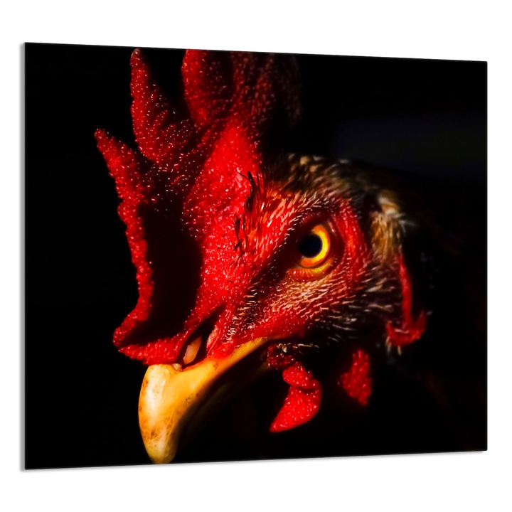 TMK ArtDeko Üveg konyhai hátlap 65x60cm, védelem, modern design