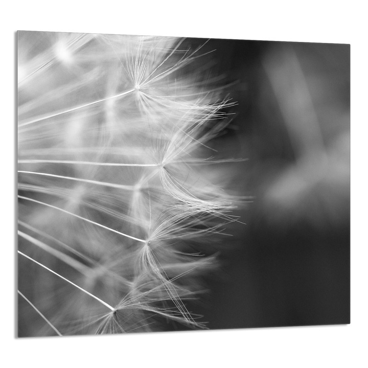 TMK ArtDeko Üveg konyhai hátfal 65x60cm, virágmintás, tűzhelyvédő, szürke