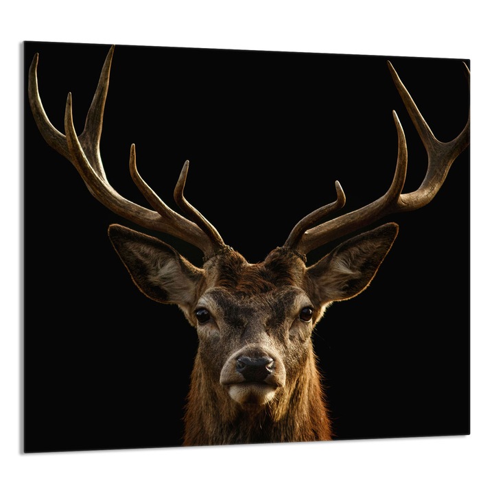 TMK ArtDeko 65x60cm konyhai üvegpanel, védelem, fekete/barna