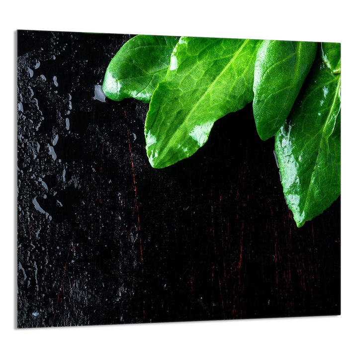 TMK ArtDeko Üveg konyhai hátlap 65x60cm, védelem, fekete/zöld