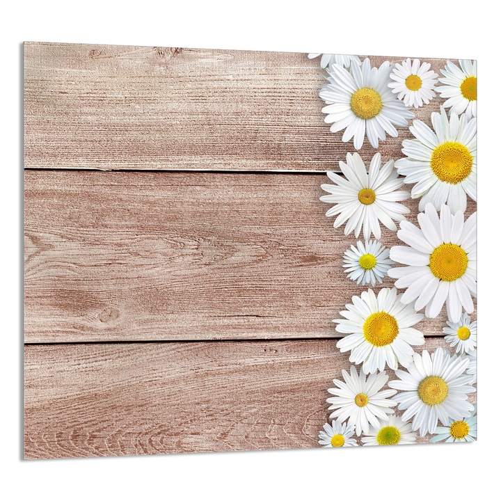 TMK ArtDeko konyhai üvegpanel 65x60cm, védelem, edénytartó, többszínű