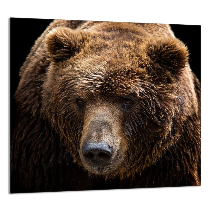 TMK ArtDeko 65x60cm konyhai üvegpanel, védelem, barna