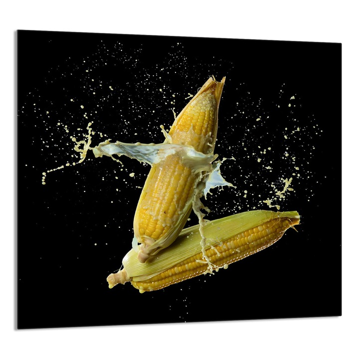 TMK ArtDeko Üveg konyhai hátfal 65x60 cm, védelem, modern design