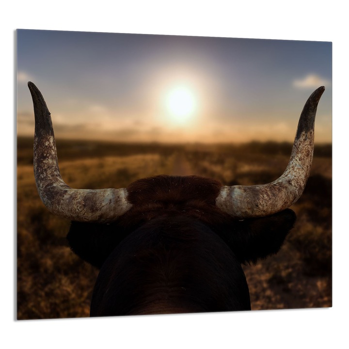 TMK ArtDeko Üveg konyhai hátfal 65x60cm, védelem, modern design, többszínű