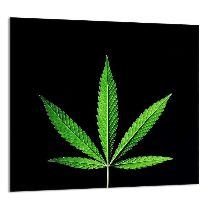 TMK ArtDeko 65x60cm konyhai üvegpanel, védelem, modern design