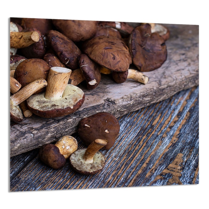 TMK ArtDeko Üveg konyhai panel 65x60cm, gomba design, multifunkcionális