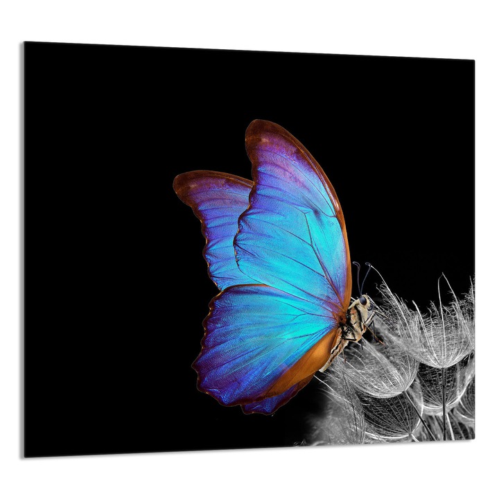 TMK ArtDeko konyhai üvegpanel 65x60cm, védelem, edénytartó, többszínű