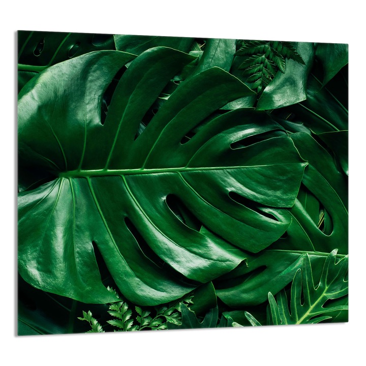 TMK ArtDeko Üveg konyhai hátfal 65x60cm, Monstera design, multifunkcionális
