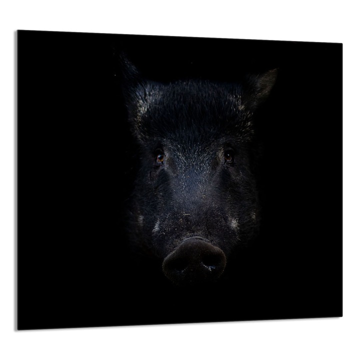 TMK ArtDeko konyhai üvegpanel 65x60cm, védelem, fekete