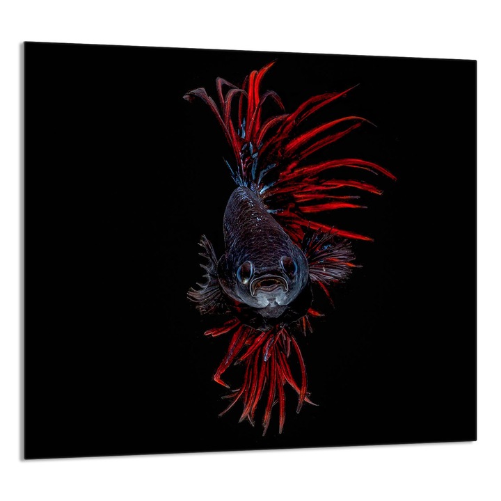 TMK ArtDeko konyhai üvegpanel 65x60cm, modern design, szennyeződés elleni védelem, többszínű