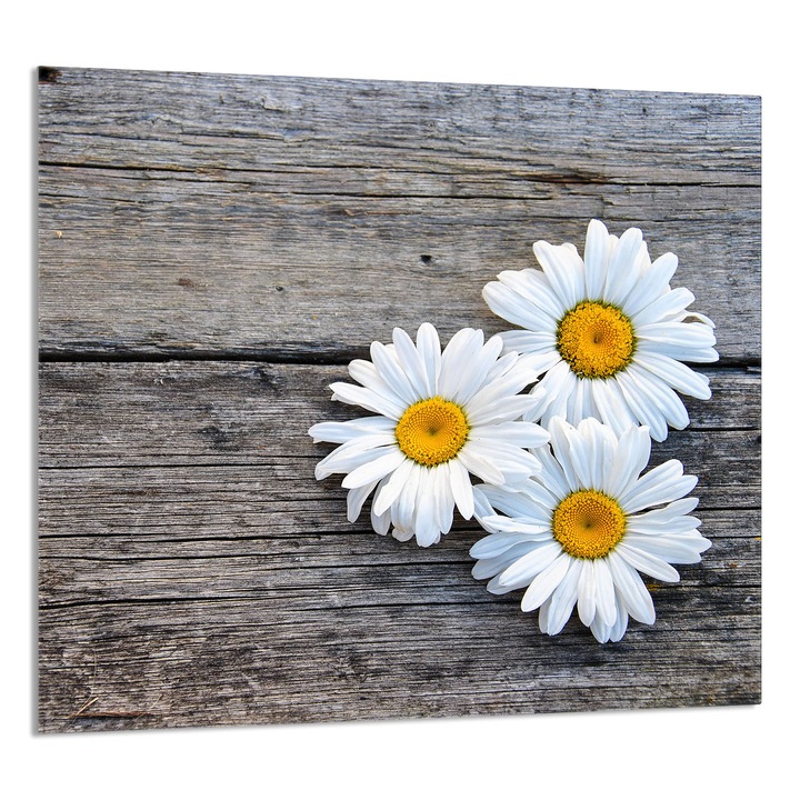 Üvegpanel konyhába 65x60 cm, TMK ArtDeko, védelem, edénytartó, többszínű