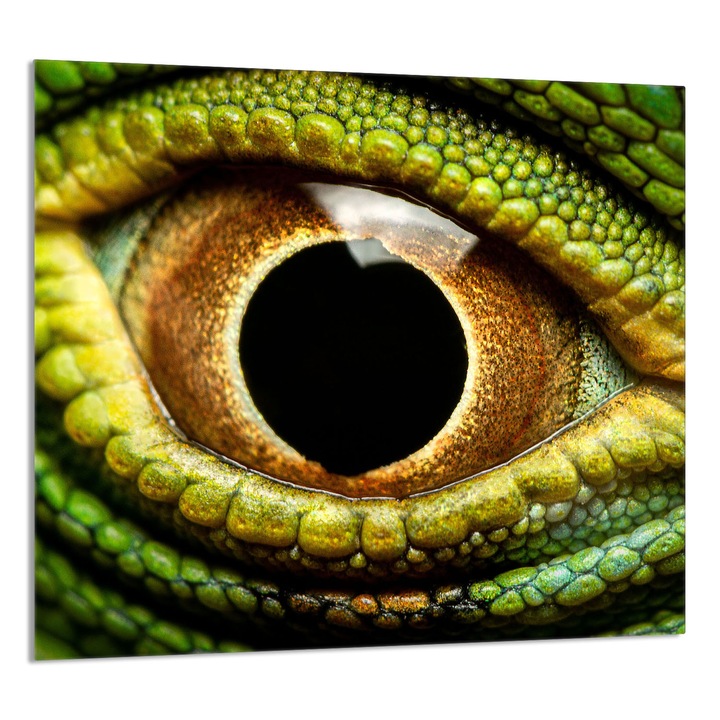 TMK ArtDeko 65x60 cm, többszínű konyhai dekoratív üveglap, védelem