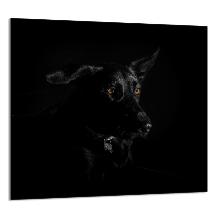 TMK ArtDeko 65x60cm üveg dekorációs lap konyhába, védelem