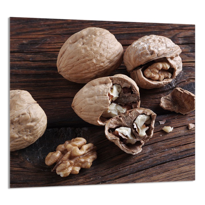 TMK ArtDeko 65x60cm üveg dekorációs lap konyhába, védelem, modern design, többszínű