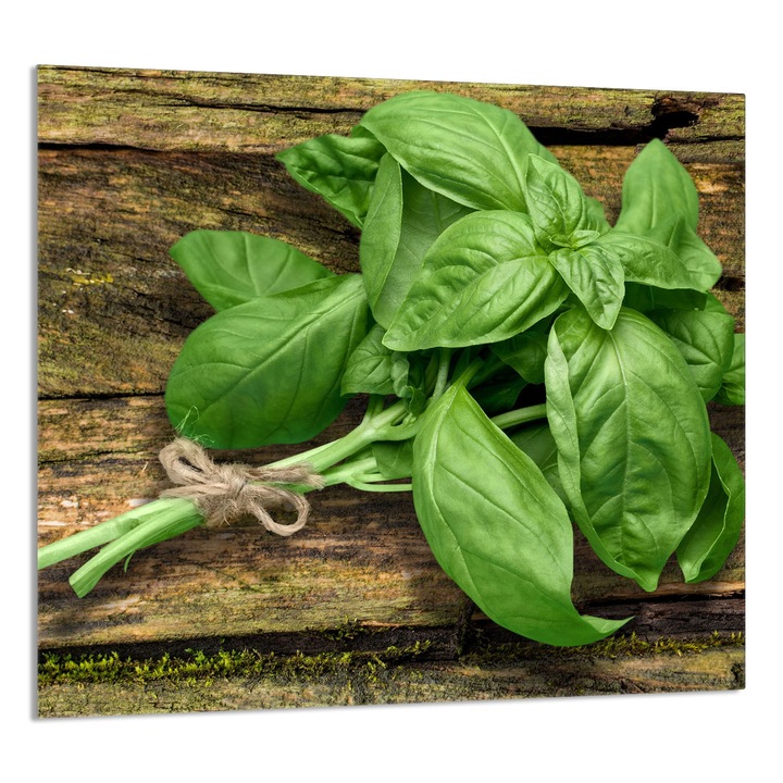 TMK ArtDeko Üveg konyhai hátfal 65x60cm, modern design, szennyeződés elleni védelem, többszínű