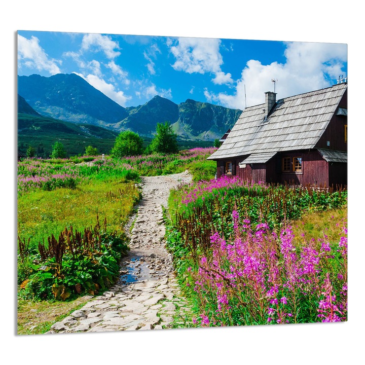 TMK ArtDeko Üveg konyhai hátfal 65x60 cm, védelem, edénytartó, többszínű