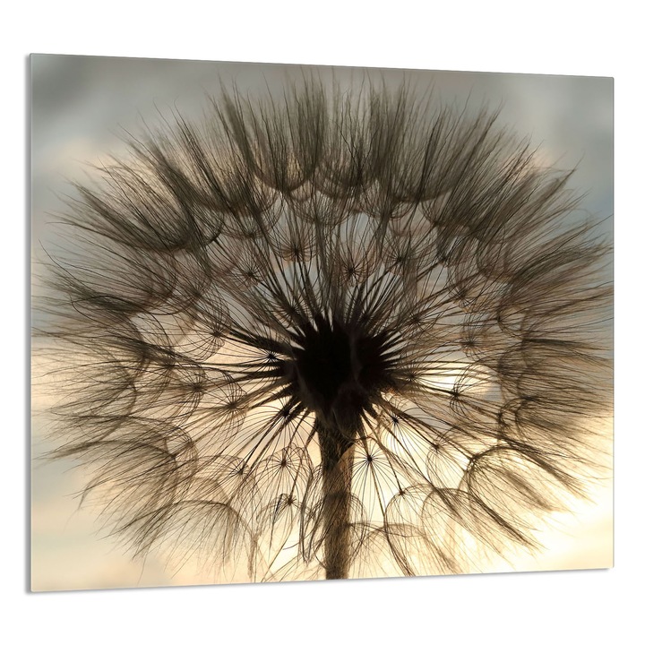 TMK ArtDeko 65x60cm üveg konyhai dekorációs tábla, virágmintás, multifunkcionális