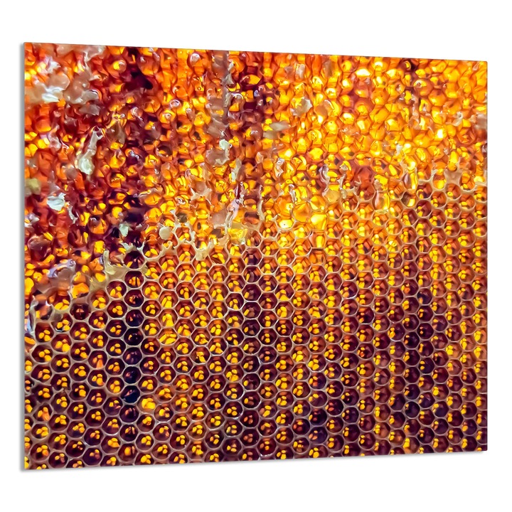 TMK ArtDeko 65x60cm üveg dekorációs lap konyhába, védelem