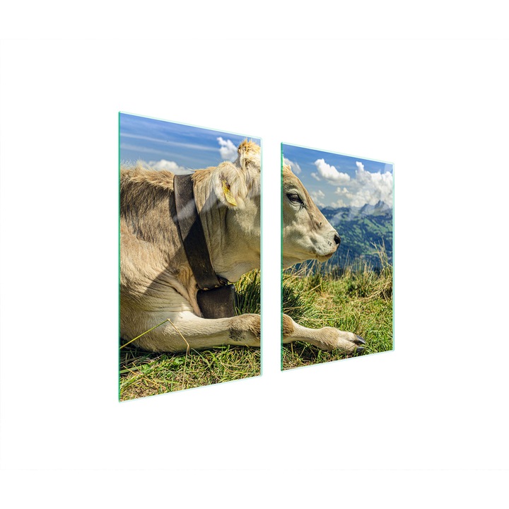 Üveg tűzhelyvédő lap TMK ArtDeko, 35x30x52cm, modern design, könnyen tisztítható