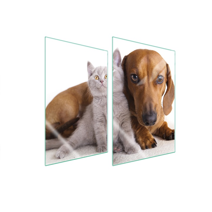 TMK ArtDeko konyhai üveg védőlemezek, 2x 35x52 cm, többszínű