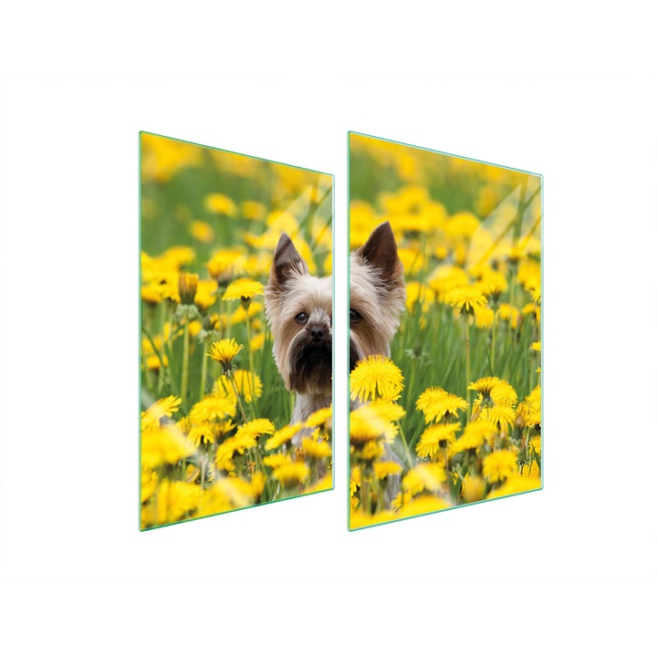 TMK ArtDeko konyhai üveg védőlemezek, 2x 35x52 cm, többszínű, magas hőmérsékletnek ellenálló