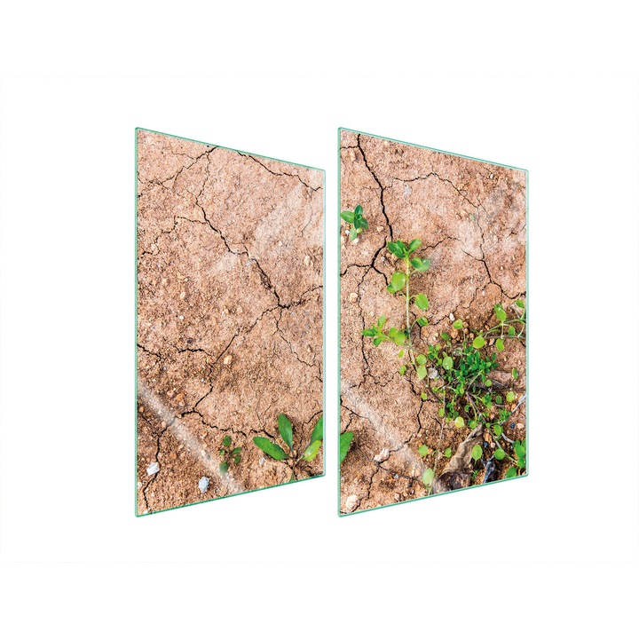 Üveg konyhai hátfal, 2x35x52 cm, TMK ArtDeko, növényi dizájn