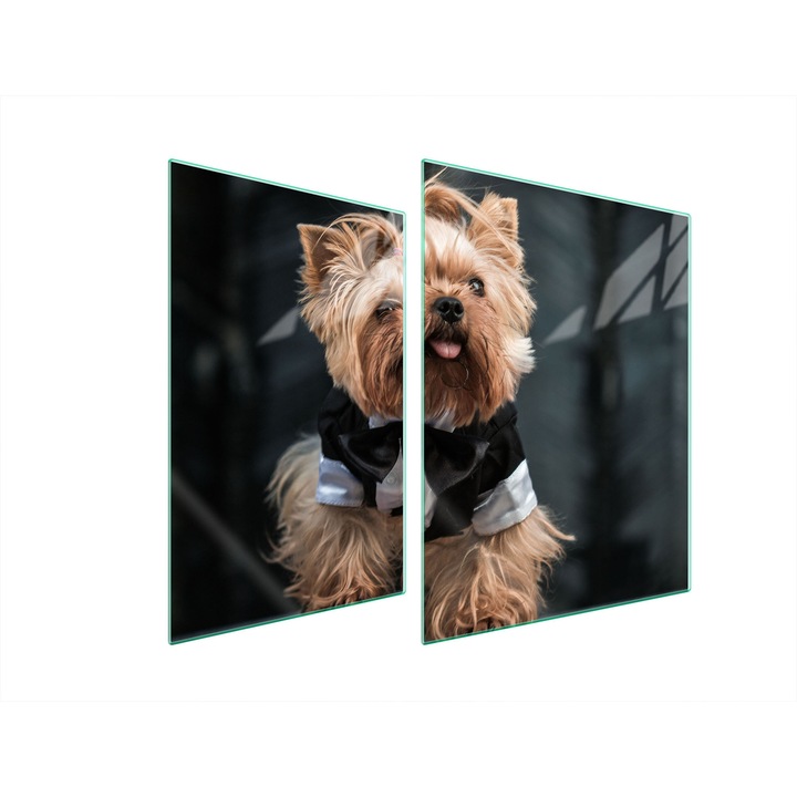 Üveg tűzhelyvédő lap 30x40x52 cm, TMK ArtDeko, modern design, könnyen tisztítható